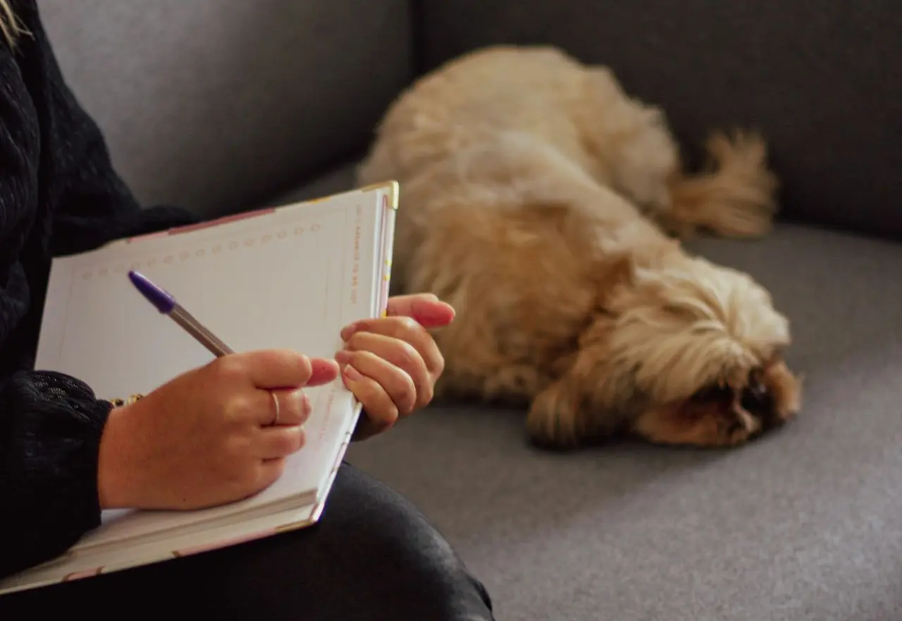 a woman sitting on a couch with a dog